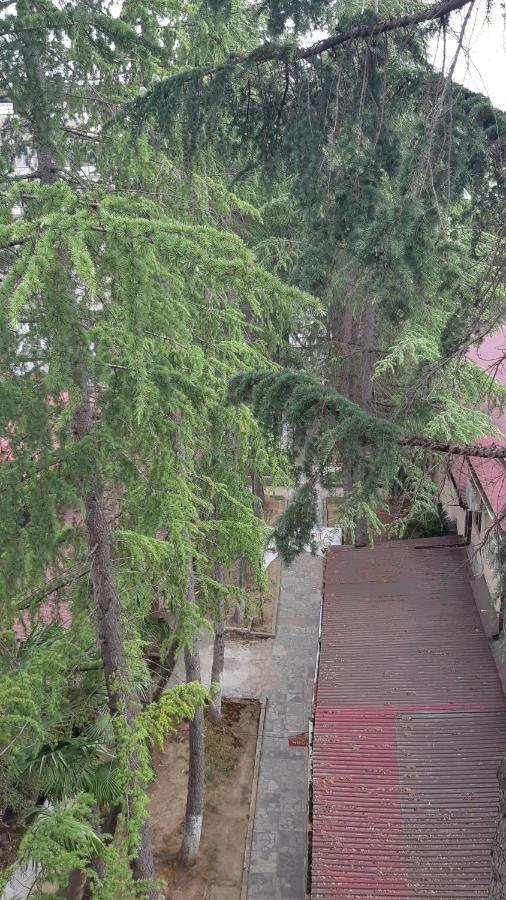 Апартаменты Орион Sukhumi Bagian luar foto